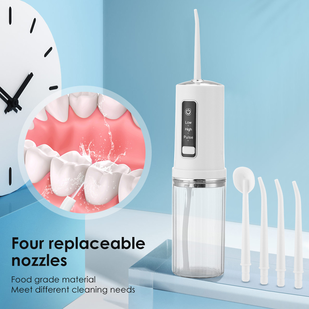 Irrigador Oral portátil, hilo  - Dental Floss Picks reseña y precio